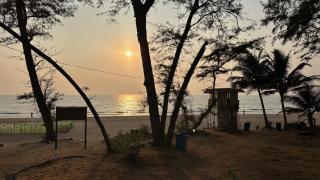 The Haven Goa Jungle Retreat and Wellness - 4