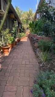 The Haven Goa Jungle Retreat and Wellness - 1