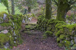 Casa Dona Florinda - 8