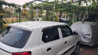 Mendez Residency - 3