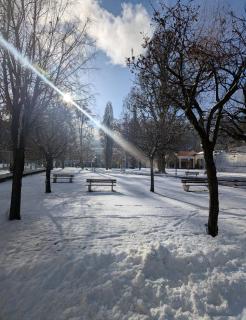 Ferienwohnung Haus am Wald - 7