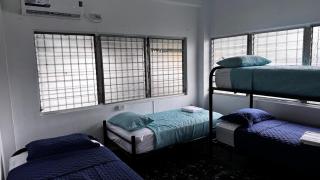 Peace N' Green - APARTMENTS - Doleguita - 1