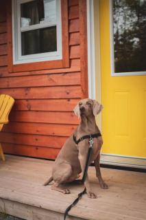 Lawrencetown Lodge - The Maple Studio - 8