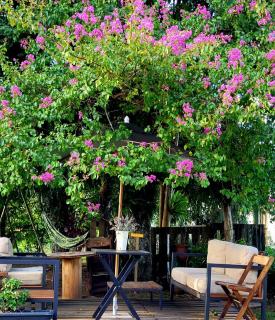 Casa da Vó Hospedagem Afetiva - 7