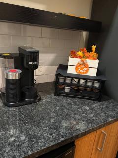 VCU Area Gem Cozy 1BR Downtown RVA - 6