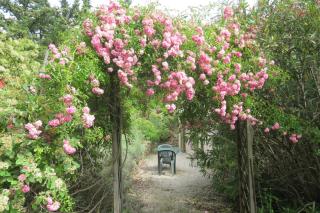 gite les Lavandes à Soyons, à proximité de Valence - Soyons - 9