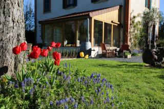 Renard et l'abeille - 6