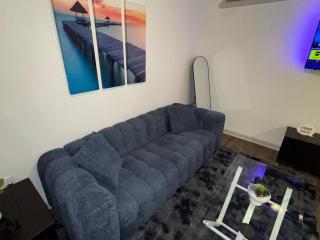 Luxurious 1B1B! Airport & Downtown! Free Parking - 5