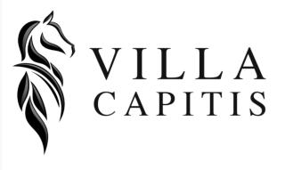 Villa Capitis in the Centre- Luxury apartment with Swimming Pool - 9