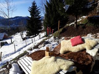 Cozy Swiss mountain chalet - Nesslau - 3