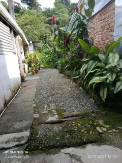 CASA VICTORIA PiJAO - 8