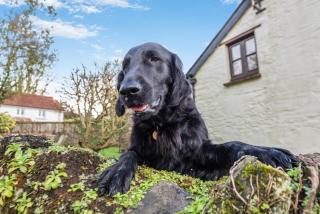 5 Bed in Middle Marwood oc-stepps - 6