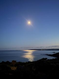 Bright & relaxed beach front studio flat - 9