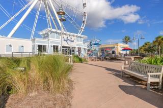 Splash, Relax & Repeat at Dolphin View Retreat! Beachfront! Sleeps 9! - 0