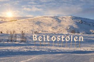 Modern family cabin with ski in out, central location in Beitostølen - 8