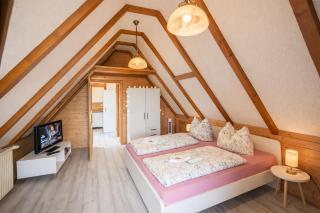 B8 Urlaubsmagie Bergsteigerwohnung mit Balkon mit Aussicht aufs Elbsandsteingebirge - 3