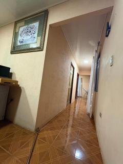 Pura Noche Guanacaste - 9