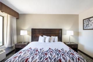 Red Roof Inn Tucson Downtown - University - 4