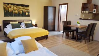 Gellény Lux Apartman - 7