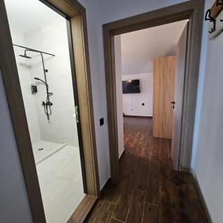 Transilvaniya Apartments - 9