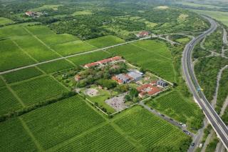 Queen Maria Estate Apartments Winery Restaurant - 9