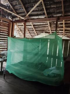 Eco hostal El Viejo Bosque - 3