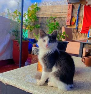 Hostel kif kif annex - 4