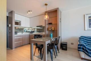 Dream Sunsets Vina del Mar Ocean View - 4