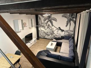 Duplex spacieux 3 chambres Centre Saverne Clim 8 personnes - 8