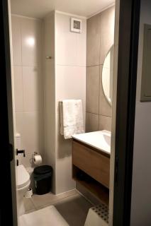 Fully Furnished Studio Apartment in Greystar Somma - 2