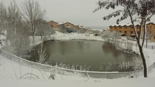 El Casón de los Poemas - 1