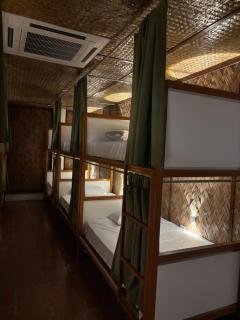 Jungle Hostel - 4