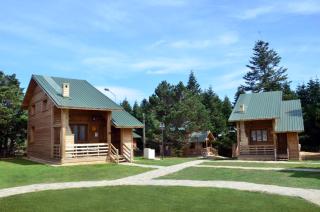 Uludag Orman Koskleri - Uludag - 5