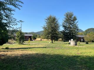 Cabaña laurel lago panguipulli - 9