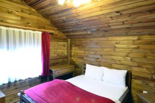 Uludag Orman Koskleri - 3