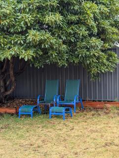 The Elephants Nest - 8