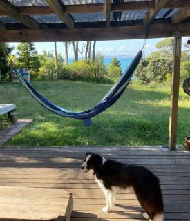 Manu Bay Bee Retreat - Walk to WSL - 1