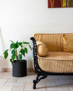 House With Jacuzzi Among Orchards In Cisternino - 3