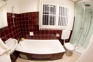 Grimmingapartment Maier - Stainach - 4