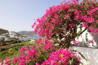 Ostria Studios - Platis Yialos Sifnos - 1