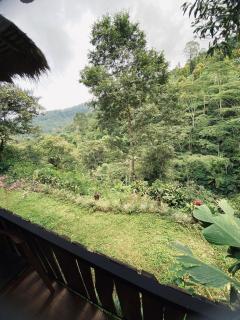 Munduk Tutub Waterfall View Guest house - 9