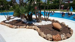 Rosie Apartment - Dehesa de Campoamor - 9