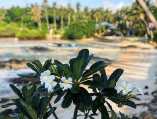 Srithanu sea Villa - 2