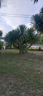 Cozy House Homestay Khlong Phum Duang - 1