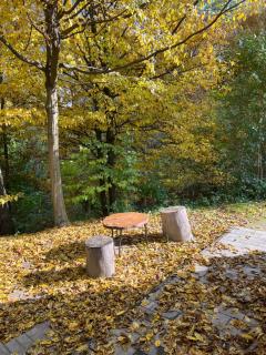 Siedlisko Wyżne - 8