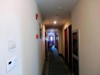 GreenTree Inn Suzhou Guanqian Street Yinguo Lane Business Hotel - 4