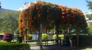 Xiamenair Maple Hotel (Xiamen SM City Plaza) - 2