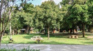 Baan Klang Suan Resort - 4