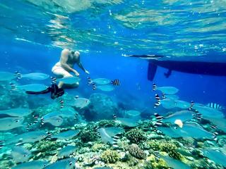 Sailing Adventure Mauritius - 8