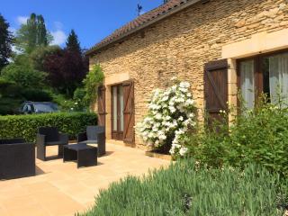 Gîte 14 pers pisicne à Sarlat - 3